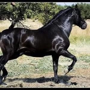 Meet your Posher, Lucia